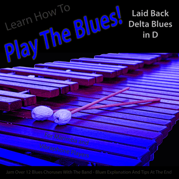 Vibes Laid Back Delta Blues in D Play The Blues